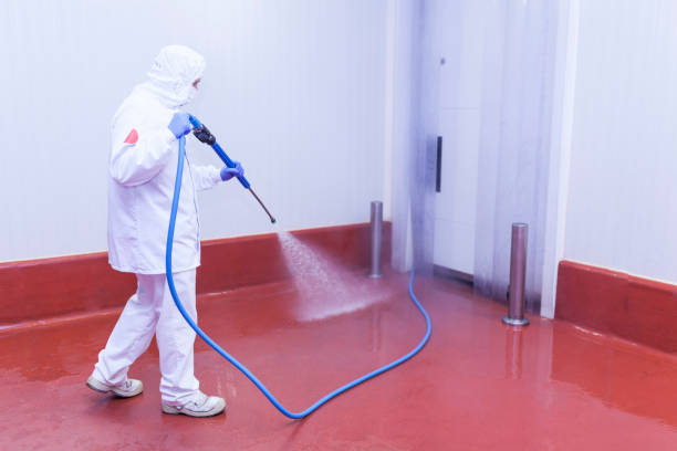 Best Rust Removal  in Madill, OK